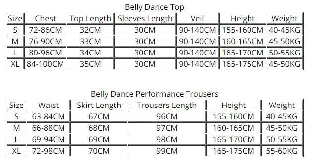 Belly Dance Princess Costume