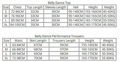 Belly Dance Princess Costume